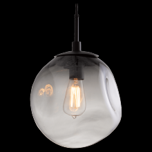 Hammerton LAB0062-01-FB-S-C01-E2 - Aster Pendant-Incandescent