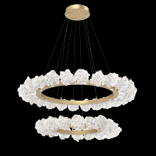 Hammerton CHB0059-2B-GB-BC-CA1-L1 - Two Tier Blossom Ring Chandelier - 2B-Gilded Brass