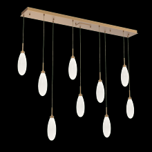 Hammerton PLB0071-09-NB-WL-C01-L3 - Fiori Linear 9pc Multi-Pendant