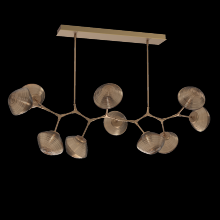 Hammerton PLB0089-BC-NB-B-001-L1 - Mesa Modern Branch - 10pc