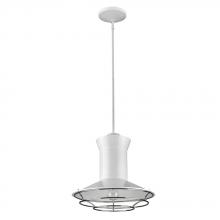 Acclaim Lighting IN21166WH - Newport Indoor 1-Light Pendant W/Louver In White