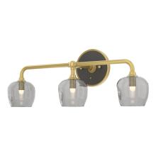 Hubbardton Forge 201342-SKT-86-14-YL0709 - Ume 3-Light Curved Arm Bath Sconce