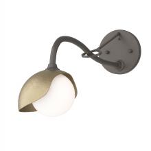 Hubbardton Forge 201376-SKT-07-84-GG0711 - Brooklyn 1-Light Single Shade Long-Arm Sconce