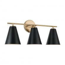 Austin Allen & Co. AA1039RK - 24"W x 10"H 3-Light Vanity in Matte Brass and Black