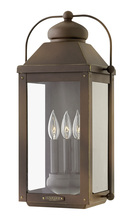 Hinkley 1855LZ-LL - Large Wall Mount Lantern